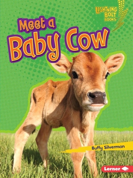 Title details for Meet a Baby Cow by Buffy Silverman - Available